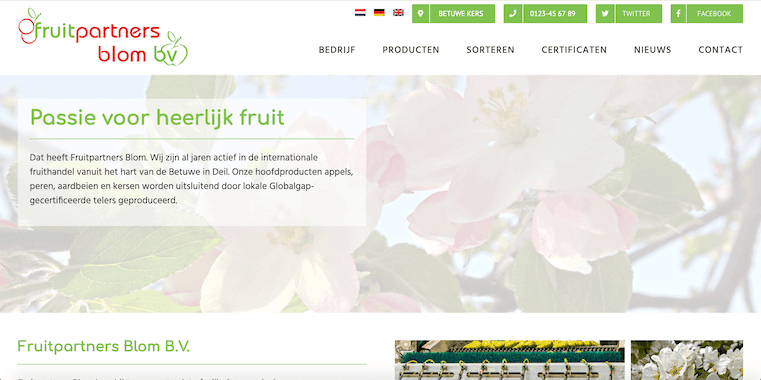 Website Fruitpartners Blom - ontwerp en bouw door ABCwebsites