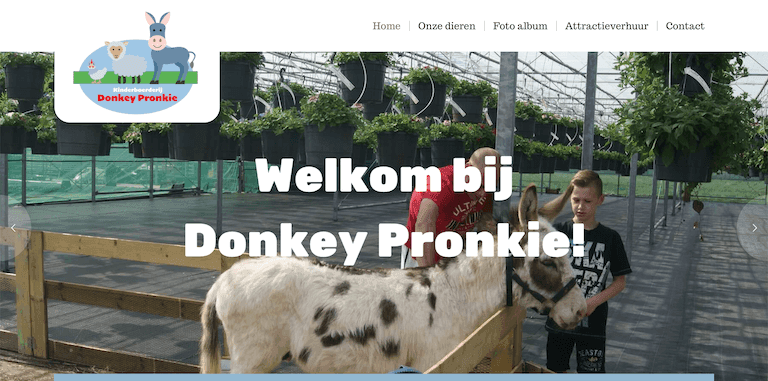 Website Donkey Pronkie - ontwerp en bouw door ABCwebsites